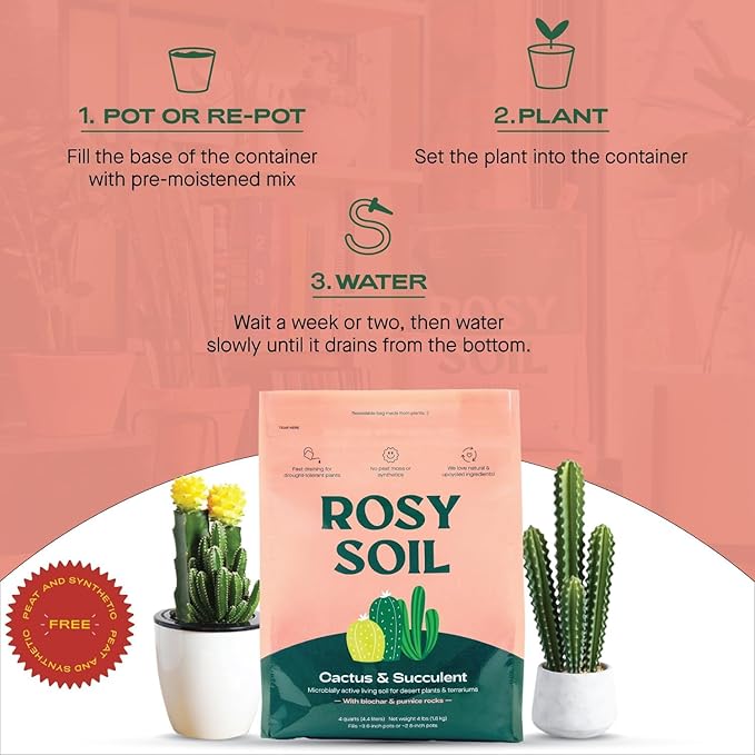 Cactus and Succulent Organic Potting Soil Mix for House Plants - Fast Draining, Root Boosting, Peat-Free, Less Prone to Gnats - Drought-Tolerant - Growth of Aloe Vera, Cacti and Indoor Succulents- 4qt