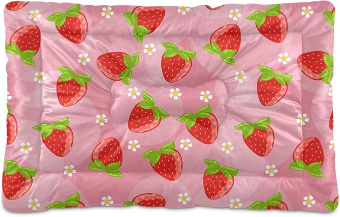 Strawberry Fruits Pet Bed Cute Dog Bed Mat Absorbing Non Slip Pad Pet Sleeping Mat for Small, Medium, and Large Dogs Puppy Cat 24 in x 18 in