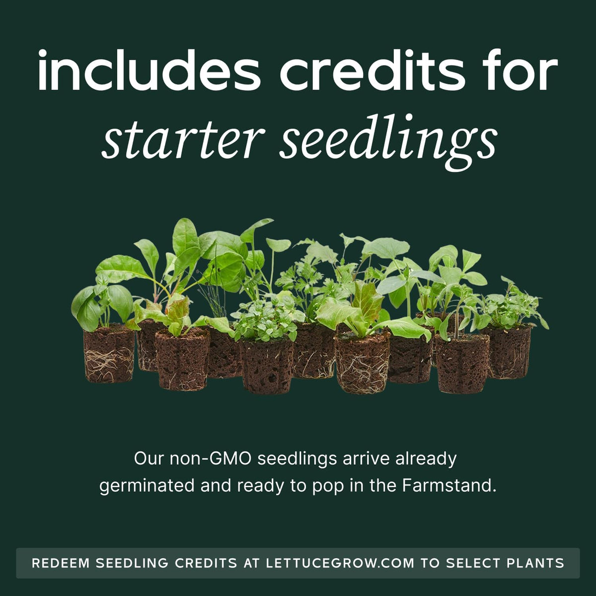 Farmstand Starter Kit + 30 Seedling Credits | Family Hydroponic Growing System Kit | Self-Watering Outdoor Vertical Garden Planter Tower | 5ft 5in | Made in USA