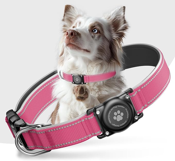 Airtag Dog Collar - 100% Waterproof Air tag Dog Collar Holder for Apple AirTag, Reflective, Soft Padded, Everlasting, GPS Dog Collar for Small Medium Large Dogs (Hot Pink, L)