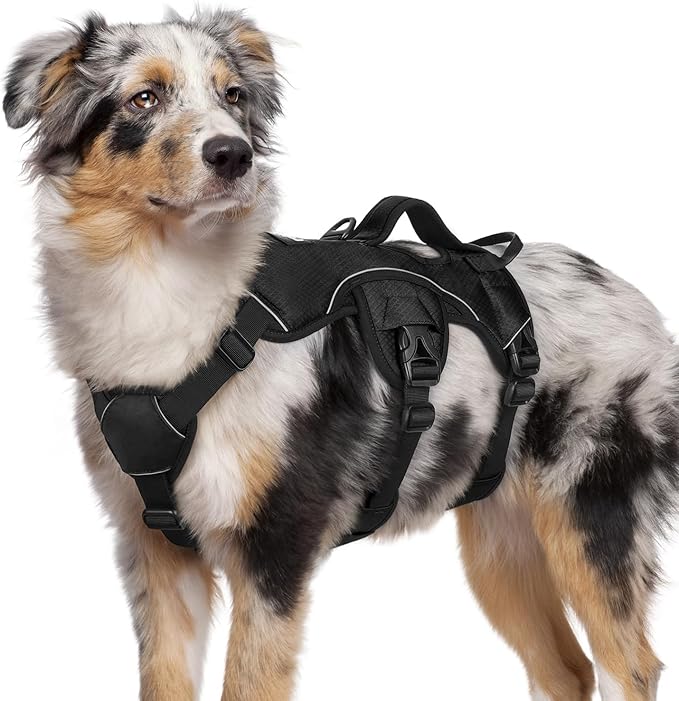 rabbitgoo Escape Proof Dog Harness, Soft Padded Full Body Pet Harness, Reflective Adjustable No Pull Vest with Lift Handle and Leash Clip for Large Dogs Walking Hiking Training, M, Black