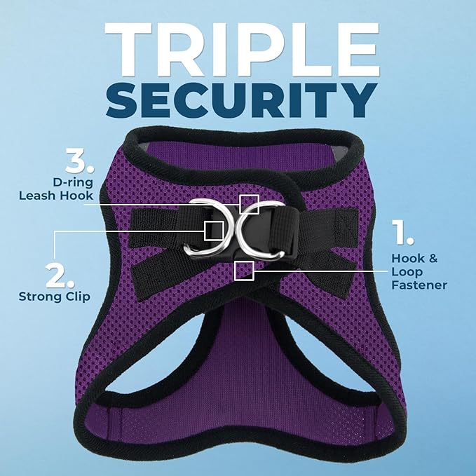 Best Pet Supplies Voyager Step-in Air Harness - All Weather Mesh, Reflective, No Pull Harness for Dogs, Cats - Secure with Hook & Loop Fastener, Buckle, Double D-Rings - Purple/Black Trim, L