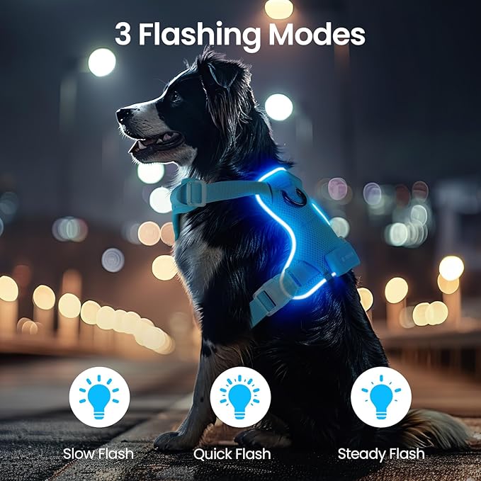 Light Up Dog Harness,Reflective Pet Harness Rechargeable,Led Dog Vest Harness for Night Walking,Adjustable Dog Safety Vest for Small Medium Large Dogs-No Pull,Blue,L
