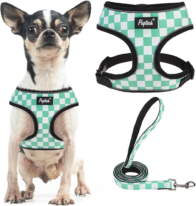 PUPTECK Soft Mesh Dog Harness and Leash Set Pet Puppy Cat Comfort Padded Vest No Pull Harnesses, Checkered Green&White, XS
