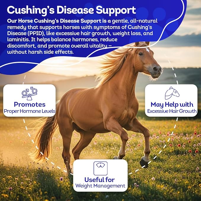 HA4E - Horse Digestive Support for Cushing’s Disease - Preventative Care - Highly Effective, Natural Homeopathic Supplement - 300 Tablets