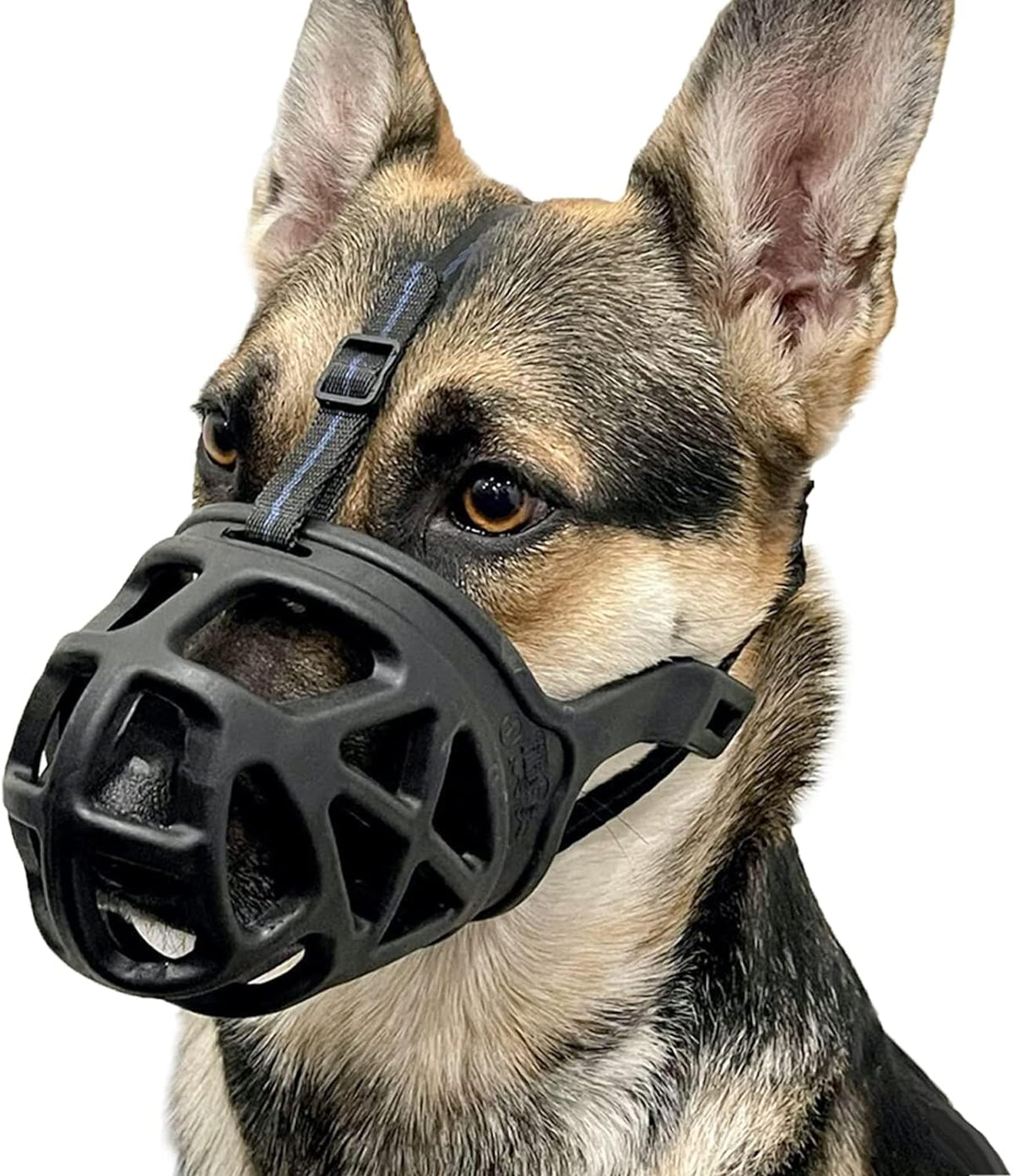 BARKLESS Dog Muzzle, Basket Muzzle for Biting, Chewing and Scavenging, Humane Cage Mouth Cover, Perfect for Grooming and Training Small, Medium, Large Aggressive Reactive Dogs (M, Black)