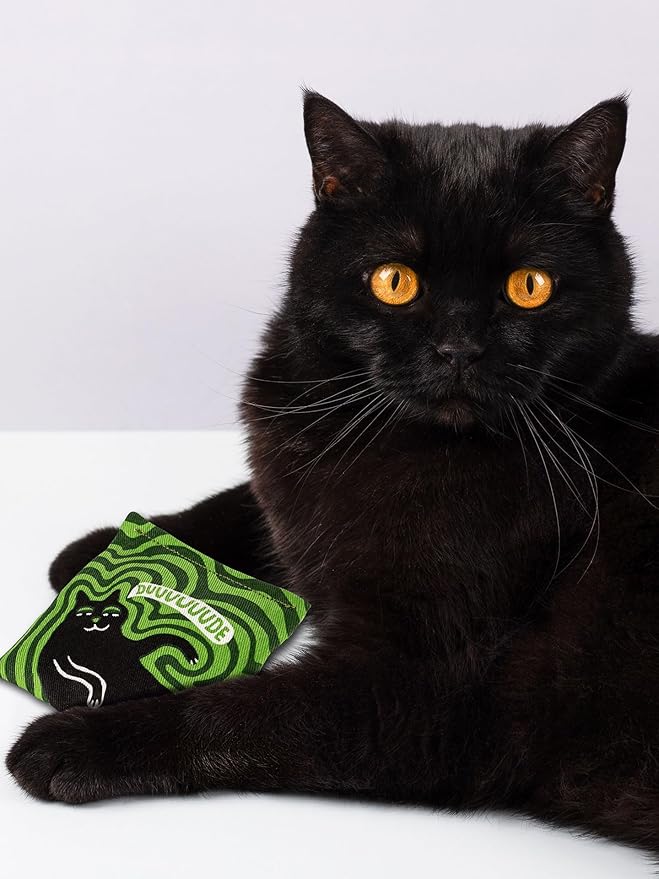 Blue Q Duuuuuuude Catnip Cat Toy. Premium Organic Catnip Grown in The USA, 100% Cotton Pouches, Kitty Graphics Sure to Delight Every Cat-Keeper.
