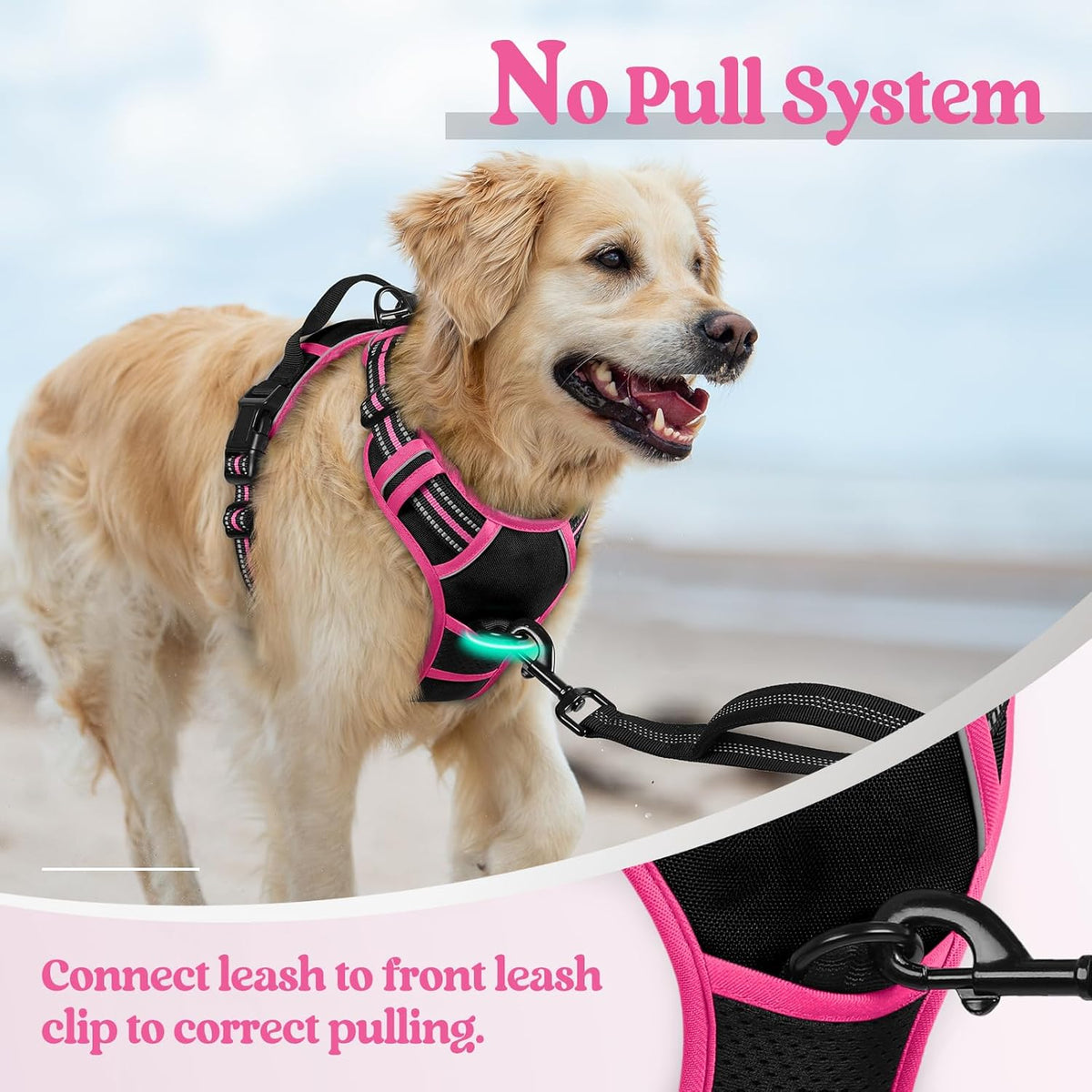 rabbitgoo Dog Harness No Pull with 2 Leash Clips, Adjustable Soft Padded, Reflective Oxford No Choke Pet Vest with Easy Control Handle for Large Dogs, Black & Hot Pink, L