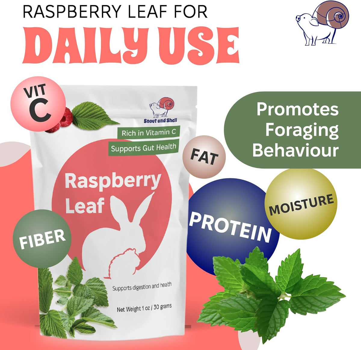 Snout and Shell Raspberry Leaf for Small Pets – 100% Natural Treat for Rabbits, Guinea Pigs, Hamsters & More – Rich in Vitamin C & Supports Gut Health – 1 oz (30g)