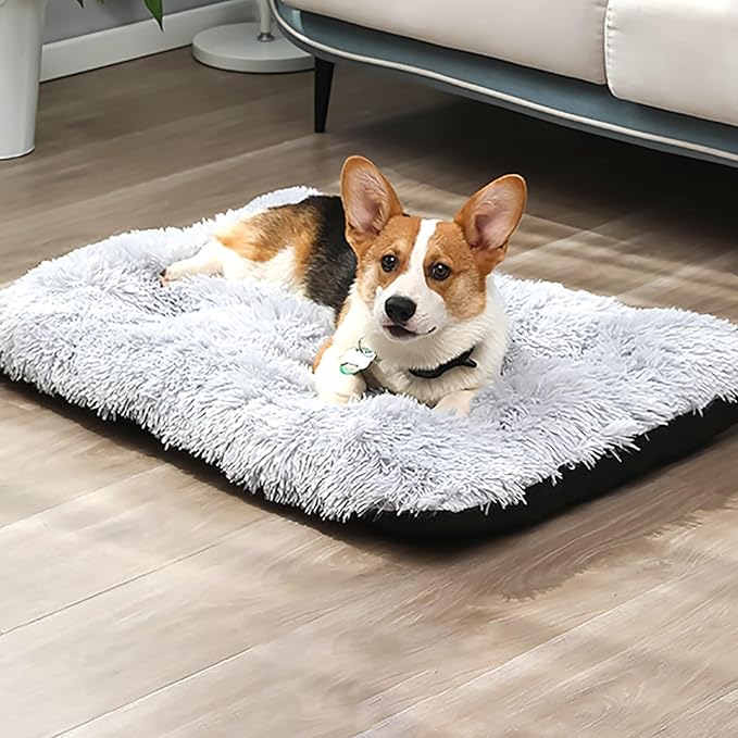 Dog Crate Mat, Dog Bed for Large Dogs, Comfy Fluffy Kennel Pad Anti-Slip for Dog beds & Furniture, Quilted Dog Bed for Pets for Medium/Small Dogs Cats (Color : Red, Size : 16.9x11)