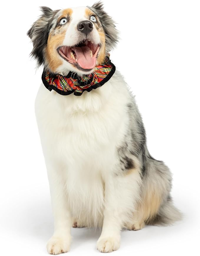 Huxley & Kent Ruff Pet Scrunchy | Shiny Christmas Plaid (Extra-Small) | Festive Christmas/Holiday Neckwear for Dogs/Cats | Fun Stretchable Costume Accessory | Soft Collar with Bells