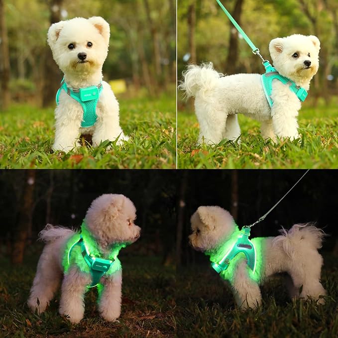 Light Up Dog Harness,Rechargeable LED Dog Harness for Small Medium Large Dogs,Reflective Lighted Safety Vest for Night Walking & Camping,Lightweight & Adjustable,Light Green,XS