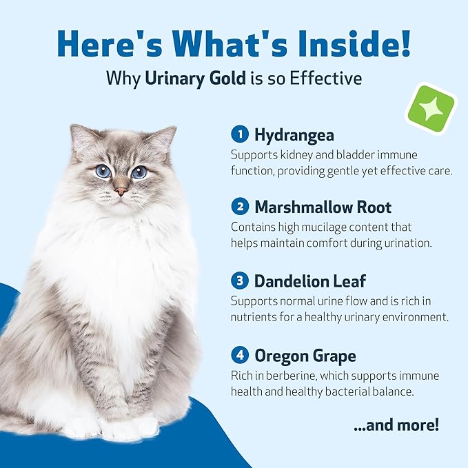Pet Wellbeing Urinary Gold for Cats - Supports Urinary Tract Health, Normal Frequency, Healthy Immune Response, Stoneroot, Hydrangea - Vet-Formulated Herbal Supplement 4 fl oz (118 ml)