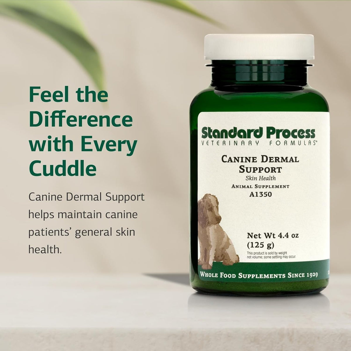 Standard Process Inc. Canine Dermal Support - Skin & Adrenal Gland Supplement - Comprehensive Skin Health Supplement for Dogs - Daily Immune & Liver Support Powder - 125 g