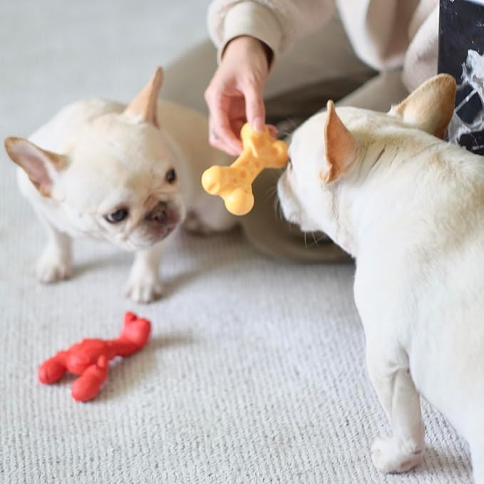 Nylabone Lobster Power Chew Toy for Dogs, Dog Toys for Aggressive Chewers, Filet Mignon Flavor, Small Dogs - Up to 25 Ibs, 1 Count