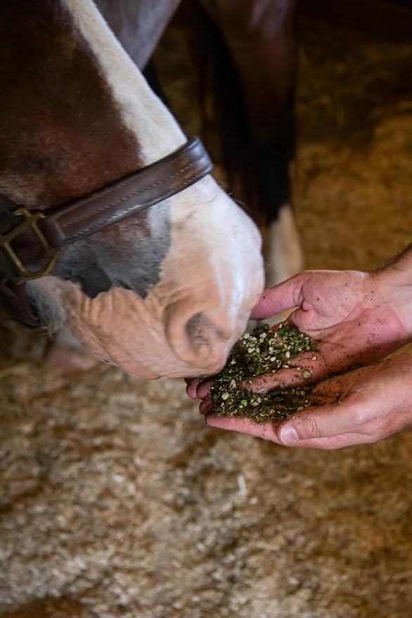 New Country Organics | Low Starch Horse Feed | Horse Food for Horses with Metabolic Disorders or Low Carb Needs | Corn-Free and Soy-Free | 16% Protein | Certified Organic and Non-GMO Feeder | 40 lbs