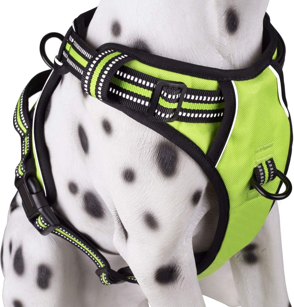 PoyPet No Pull Dog Harness, Reflective Comfortable Vest Harness with Front & Back 2 Leash Attachments and Easy Control Handle Adjustable Soft Padded Pet Vest for Small to Large Dogs (Green,L)