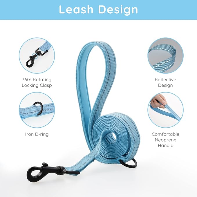 BELLA & PAL Step in Vest Harness for Small and Medium Dogs, No Pull Small Dog Harness with Leash Set, Comfortable Air Mesh Dog Vest Harness with Reflective Strip (Sky Blue, S)