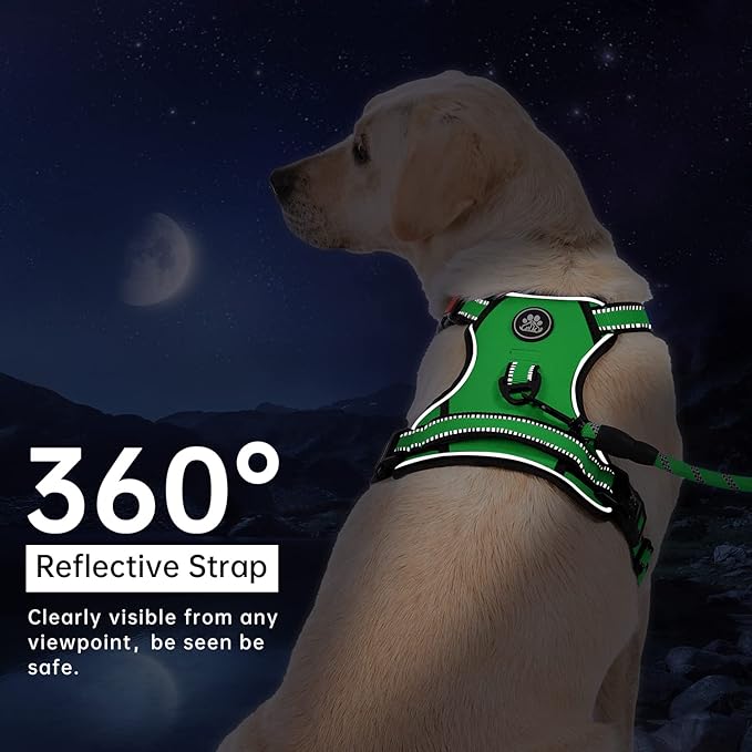 IVY&LANE No Pull Dog Harness for Medium Dogs, Dog Vest Harness with Leash, Safety Belt and Storage Strap, Fully Adjustable Harness, 360° Reflective Strip, Soft Handle (Green,M)