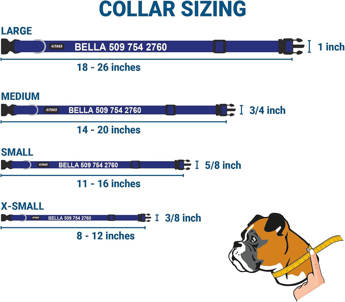 GoTags Personalized Dog Collar with Nameplate, Adjustable Dog Collar with Custom Engraved Slide On Pet ID Tag in Stainless Steel, Silent, No Noise Dog Tag for Large Medium and Small (Blue, Medium)
