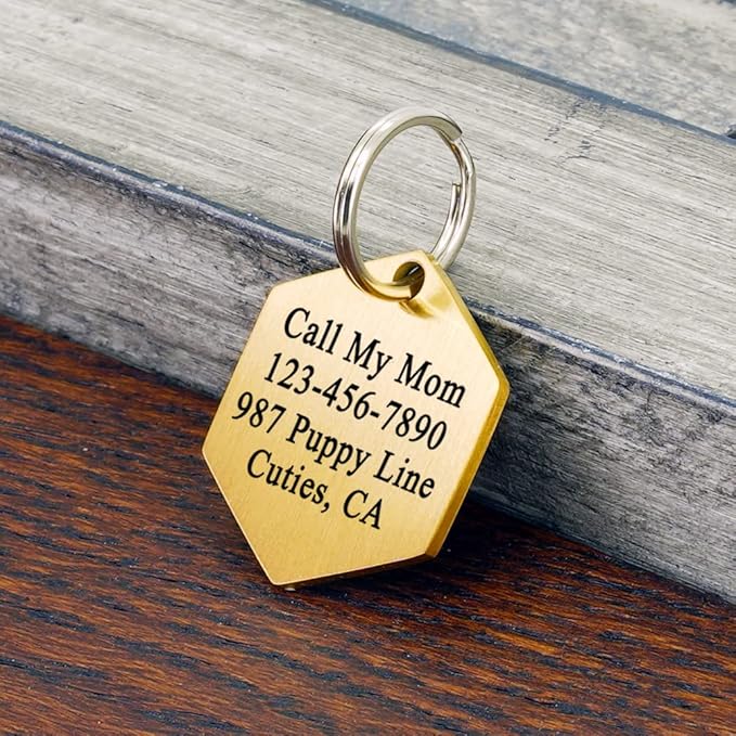Ultra Joys Dog ID Tag, Custom Stainless Steel Dog Tag, Personalized Dog Tag, Small (1.25'' Dia), Gold, Brushed Finish