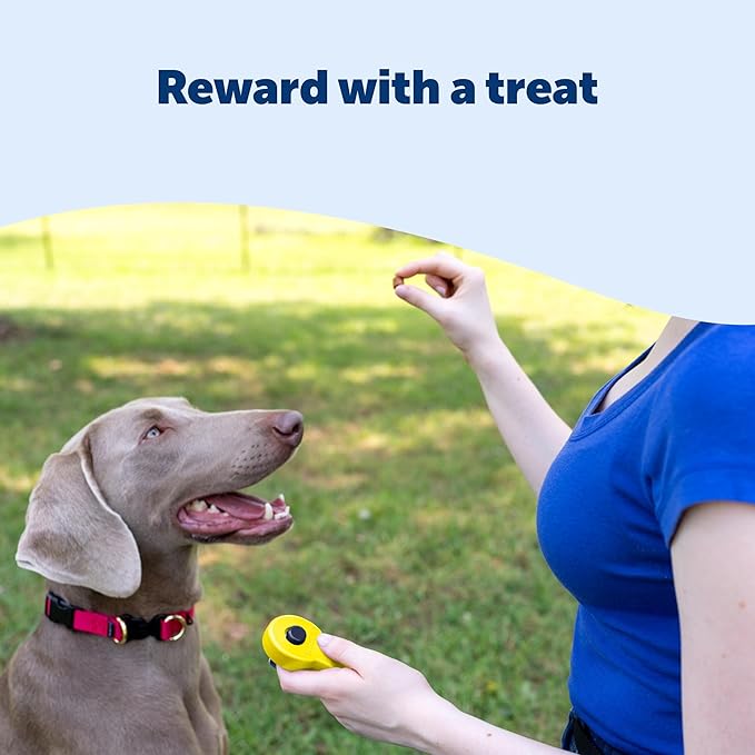 PetSafe Clik-R Training Tool – Clicker Trainer for Dogs – Positive Reinforcement – Dog Training Marker – All Stages of Life – Ergonomic Design – Clear Click Sound