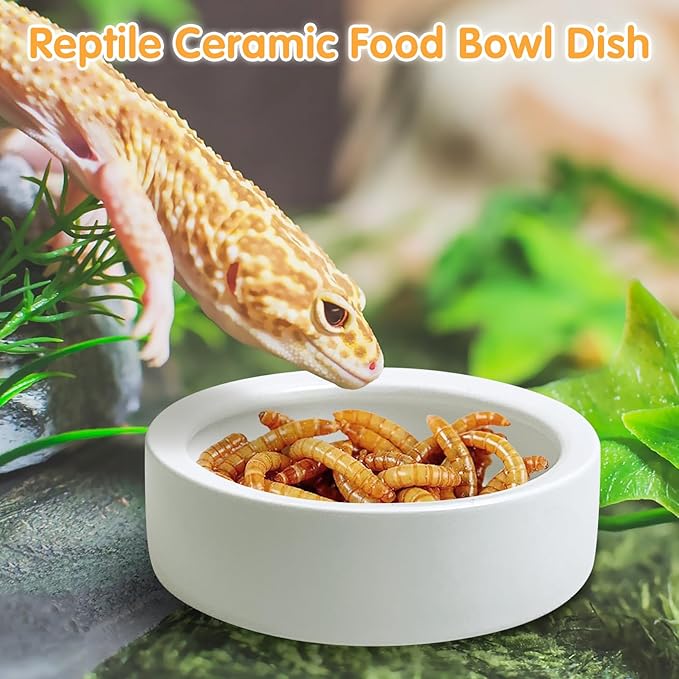 Tfwadmx 4 Pack Reptile Food Bowl, Mini Ceramic Water Feeder Bowl, Reptile Worm Feeding Dish for Lizard Turtle Bearded Dragon Anoles Crested Gecko Hermit Crab Leopard Gecko Chameleon Corn Snake