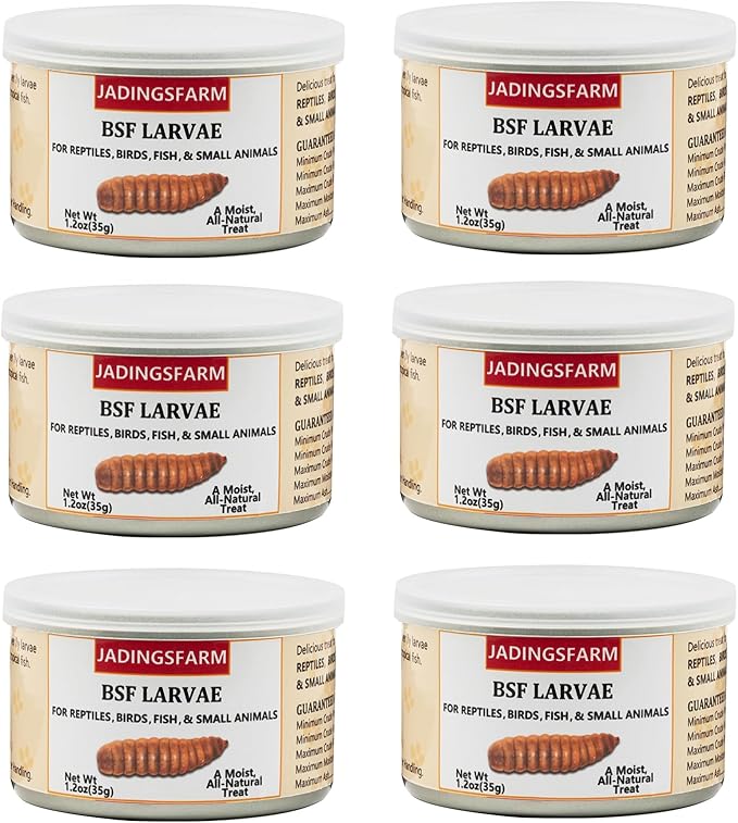 6 Pack Canned Black Soldier Fly Larvae for Reptiles, Fish, Birds and Small Animals, BSF, Healthy High Protein Treat, Reptile Bird Fish Food 7.2 Ounces Total