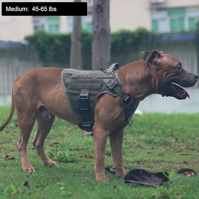 ICEFANG Tactical Dog Harness, Medium Size,2X Metal Buckle,Working Dog MOLLE Vest with Handle,No Pulling Front Leash Clip,Hook and Loop Panel (Green,M (Pack of 1))