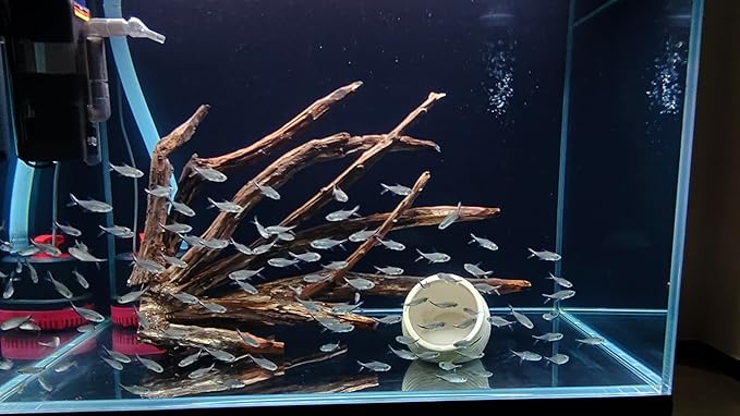Aquarium Driftwood Centerpiece Aquarium Landscape, Handcrafted Fish Tank hardscape Landscape (Thorn Forest)