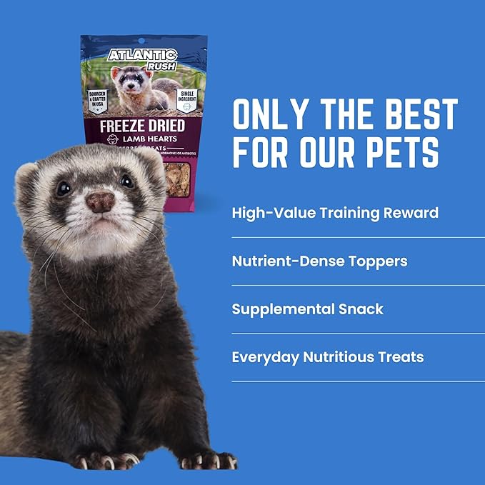 Atlantic Rush Freeze Dried Small Pet Treats - Resealable Bag of Turkey Heart Treats for Ferrets - Ferret Snacks - Single Ingredient Ferret Food with No Preservatives Or Fillers- Small Animals Treats