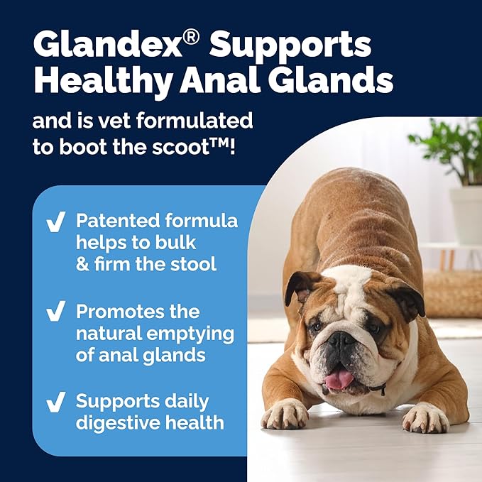 Vetnique Glandex Dog Fiber Supplement Powder for Anal Glands with Pumpkin, Digestive Enzymes & Probiotics - (Regular or Advanced Strength) - Boot The Scoot (4.25 oz, Advanced Strength Duck & Bacon)