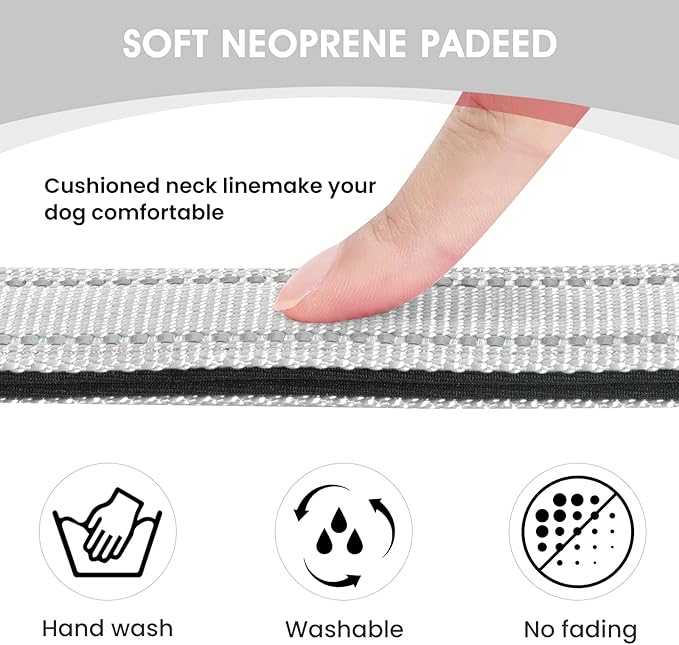 Reflective Dog Collar Padded with Soft Neoprene Breathable Quick Release Basic Dog Collars for Small Dogs Girl Boy Silver