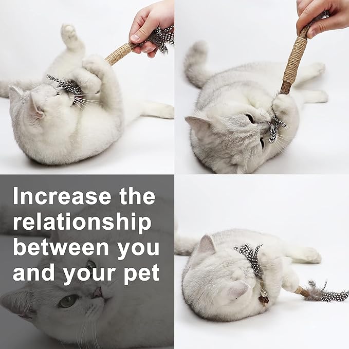PAZ'S GIFT Catnip Toy Cat Toys Catnip Toy cat chew Toy cat Kicking silvervine Stick Teeth Cleaning Cute Kitten Teething Indoor Interactivecat Dental Care Matatabi (Feather 2pcs)