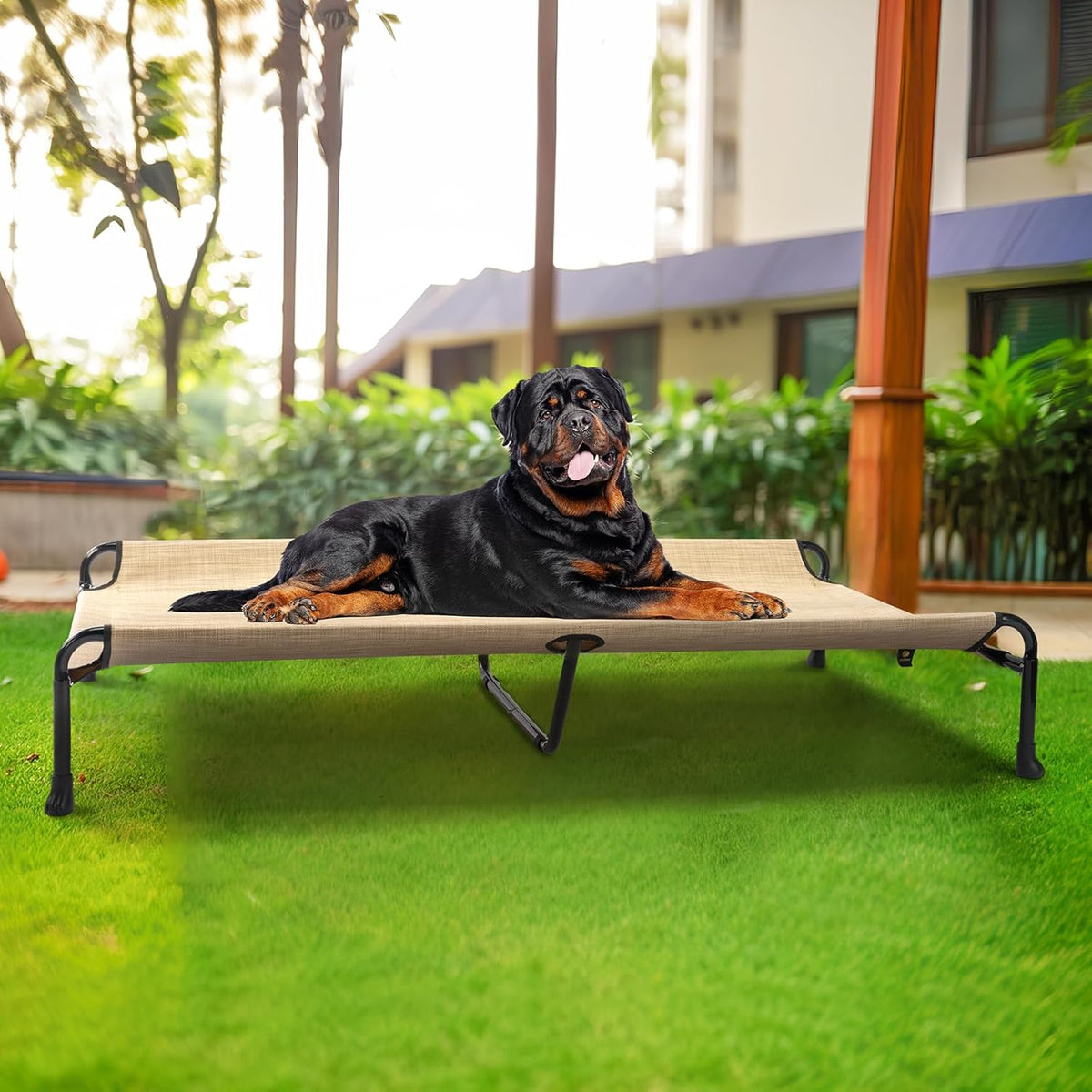 Veehoo Cooling Elevated Dog Bed - Raised for Large Dogs, Outdoor With Guardrail, Upgraded Non-Slip Feet, Breathable Teslin Mesh, Portable Camping Cot, 47 x 29 Inches, Beige Coffee