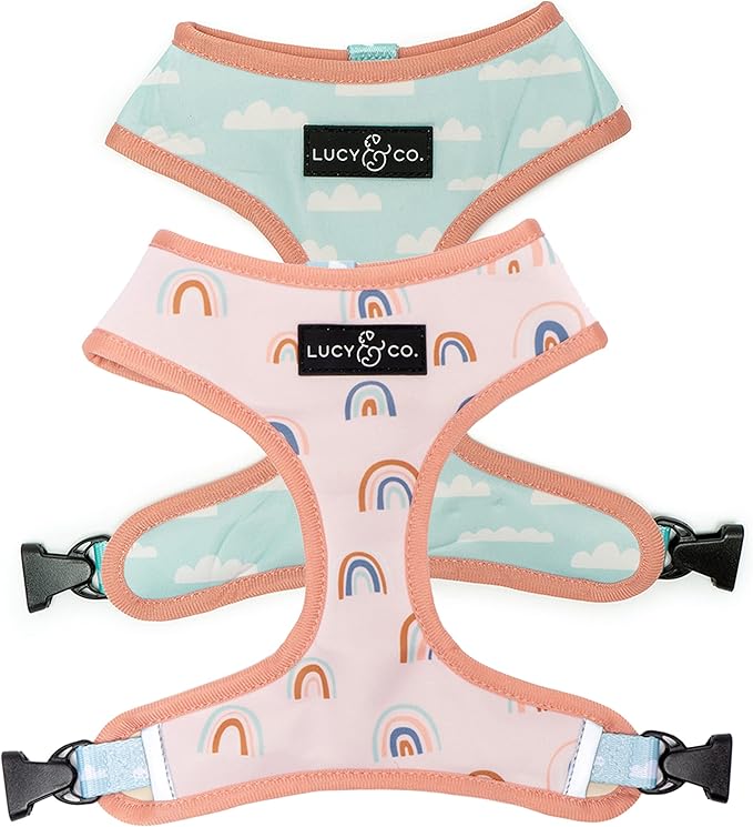 Lucy & Co. in The Clouds, Cute Reversible Dog Harness Walking Halter - Best Designer Pet Harnesses for Medium Dogs - Padded Adjustable Vest for Easy Walking (X-Large)