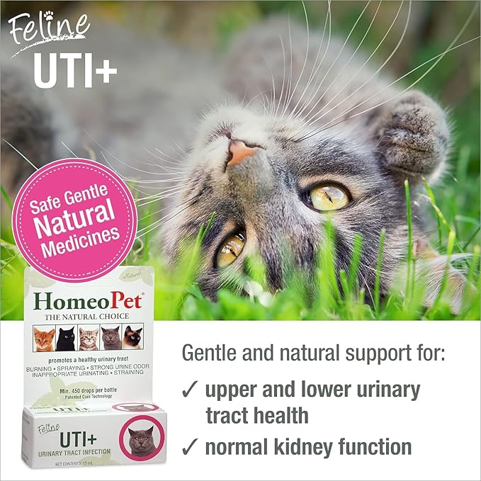 HomeoPet Feline UTI Plus, Safe and Natural Urinary Tract Medicine for Cats, Feline Urinary Tract Support, 15 Milliliters - Pack of 2
