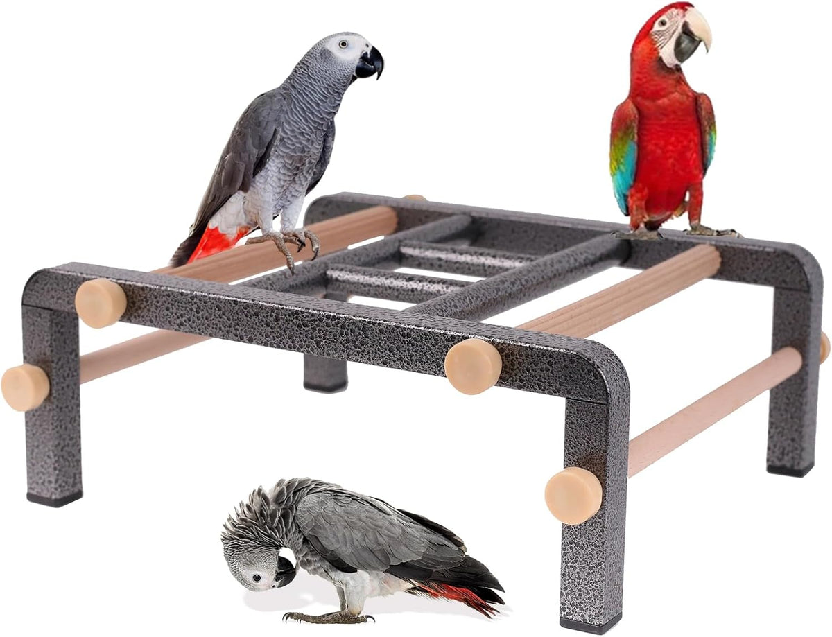 Large Bird Table Training Perch for African Grey Macaw Amazon Parrot, Heavy-Duty Metal Ladder No Tool Install Rustproof Bird Roosting Wooden Bars for Exercise and Play Climb for Fun