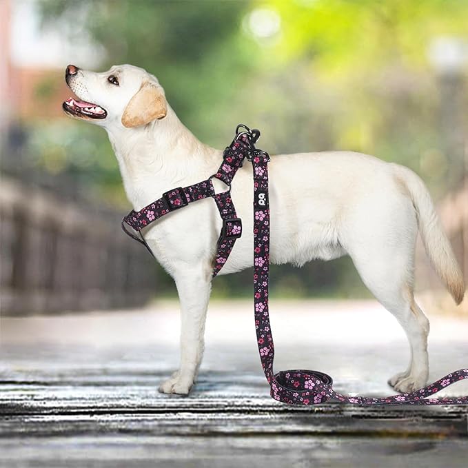 QQPETS Dog Harness Leash Set Adjustable Heavy Duty No Pull Halter Harnesses for Small Medium Large Breed Dogs Back Clip Anti-Twist Perfect for Walking