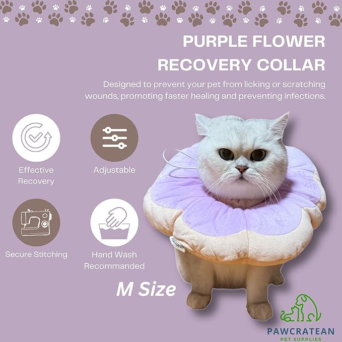 Adjustable Comfy Flower Style Elizabeth Collar for Cats Puppies Soft Recovery Cone Pet Protective Neck Collar (Purple, Medium)