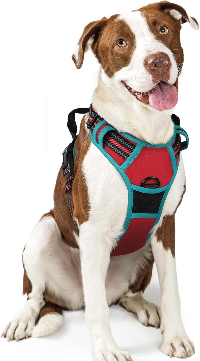 rabbitgoo Dog Harness No Pull with 2 Leash Clips, Adjustable Soft Padded, Reflective Oxford No Choke Pet Vest with Easy Control Handle for Large Dogs, Red & Teal, L