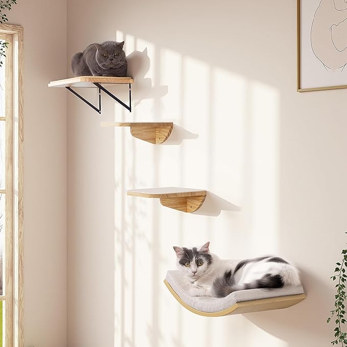 Cat Window Perches, Curved Cat Wall Sisal Mat Bed and 2 Floating Wall Steps, Wall Mounted Climbing Shelves for Sleeping, Playing, and Lounging