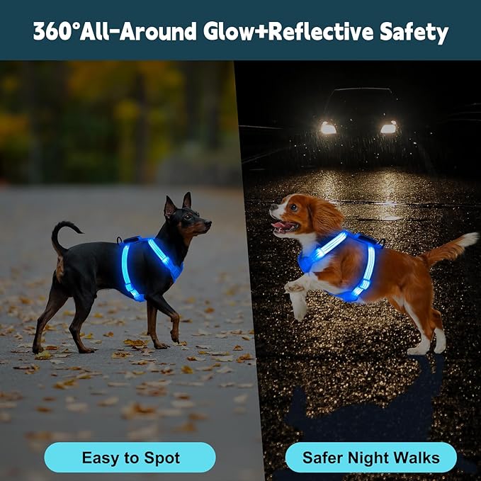 Rechargeable Light Up Dog Harness for Small Dogs – Adjustable LED Dog Vest with Reflective Strips, No Pull Glow in The Dark Puppy Harness for Night Walking Safety-Blue