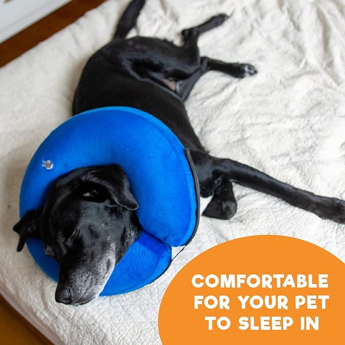 BENCMATE Inflatable Dog Cone Collar Alternative, Soft Dog Cone for Small Medium Large Dogs and Cats, Neck Recovery ECollar Donut Collar After Surgery (XLarge, Purple)