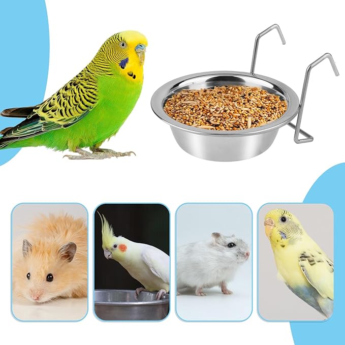 Hypeety Stainless Steel Food Water Cup with Bolt Hooks for Pet Bird Crates Cages Coop Dog Cat Parrot Bird Rabbit Pet (Small,11cm)