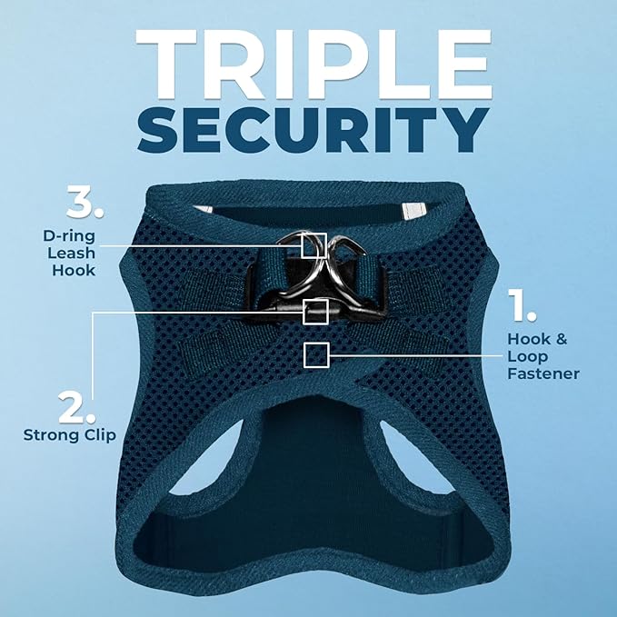 Best Pet Supplies Voyager Step-in Air Harness - All Weather Mesh, Reflective, No Pull Harness for Dogs, Cats - Secure with Hook & Loop Fastener, Buckle, Double D-Rings - Blue, XXS