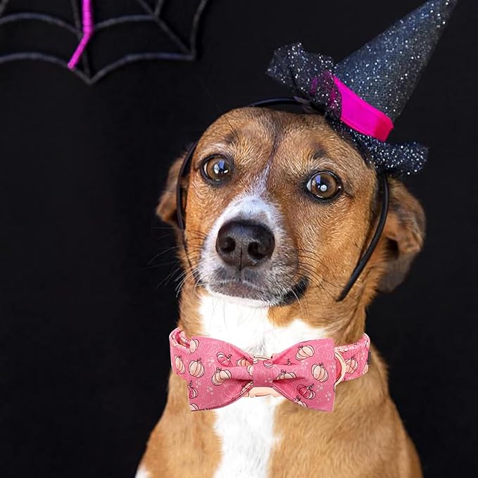 Elegant Little Tail Dog Collar with Bow, Adjustable Halloween Pumpkin Bowtie Pet Gift Collar for Small to Large Dogs