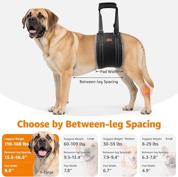 LOOBANI Portable Dog Sling for Back Legs, Hip Support Harness to Help Lift Dogs Rear for Canine Aid and Old K9 Cruciate Ligament Rehabilitation