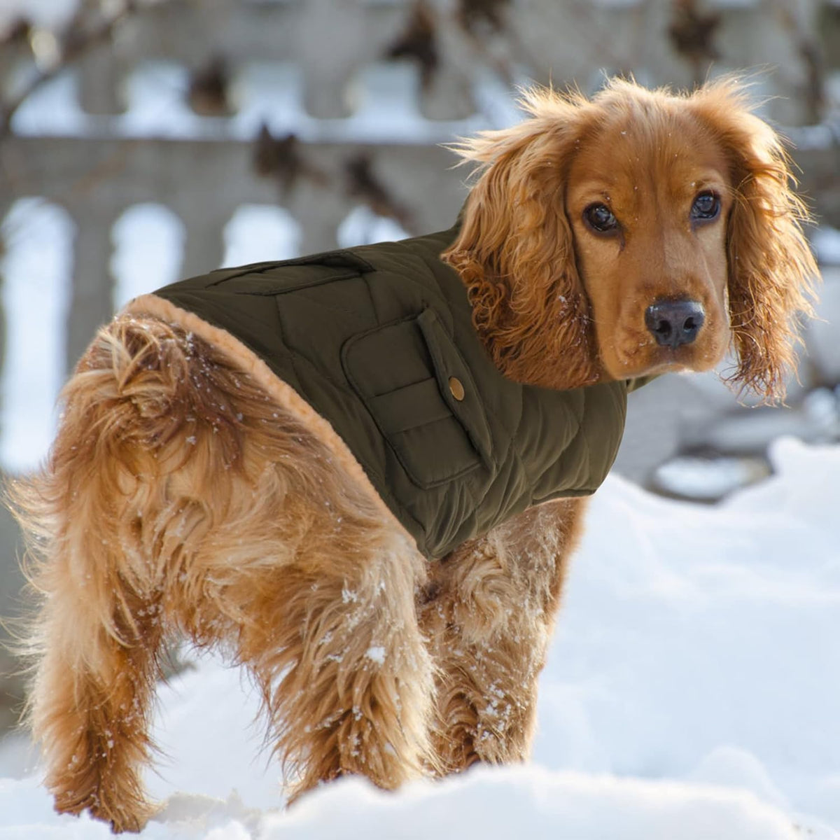 Queenmore Warm Dog Coat, Cold Weather Puffer Dog Coat, Quilting Winter Dog Jacket Ultra Thick Plush Lining with Storage Pockets (Green, Small)