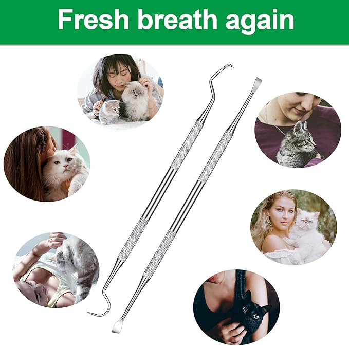 Mudder 4 Pieces Dog Dental Tools Pet Tooth Scaler and Scraper Set Stainless Double Headed Cleaning Tool Tartar Remover for Dogs Cats